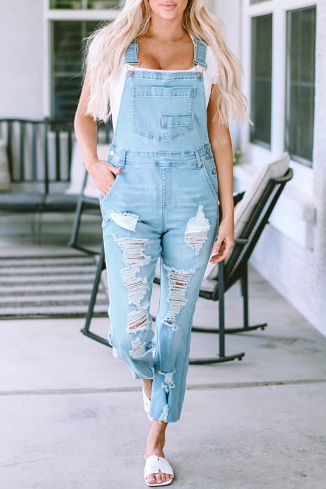 Sophia Constructed Bib Distressed Overalls