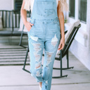  Sophia Constructed Bib Distressed Overalls
