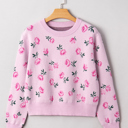 Delicacy Small Sophia Drop Shoulder Cropped Sweater