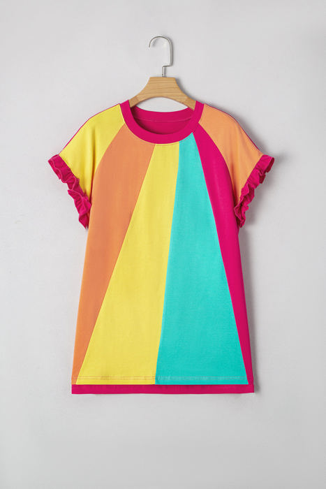 Stormi Color Block Ruffled Crew Neck Loose Fit Top