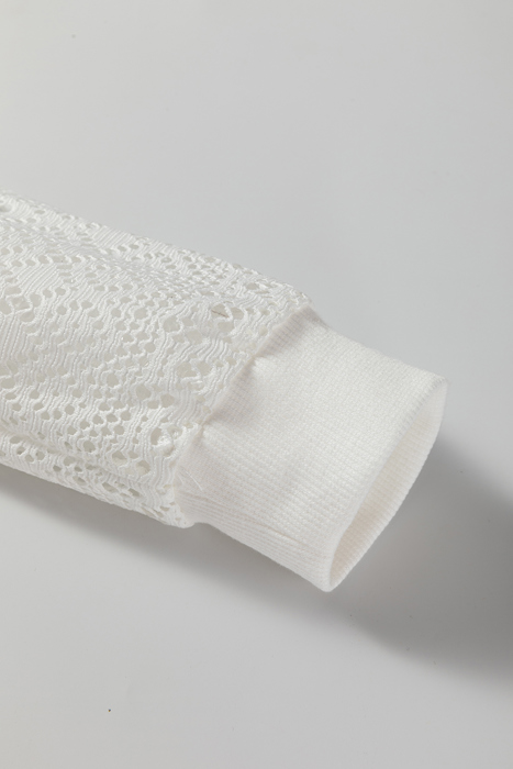 Taylor Hollowed Lace Patchwork Long Sleeve Top