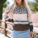 Brown Large Teagan Color Block Crewneck Long Sleeve Top