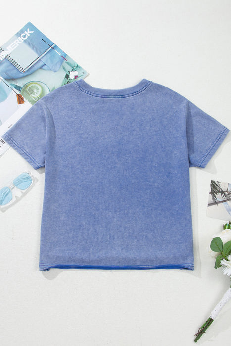 USA Patch Mineral Wash Vintage Graphic Top