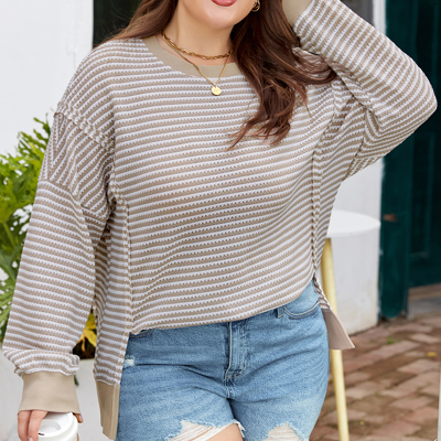 Vanessa Knit Ribbed Trim Long Sleeve PLUS Top