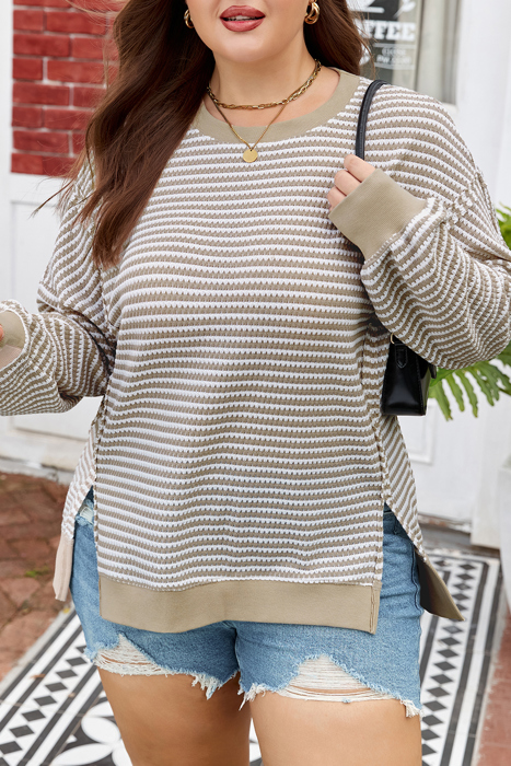 Vanessa Knit Ribbed Trim Long Sleeve PLUS Top