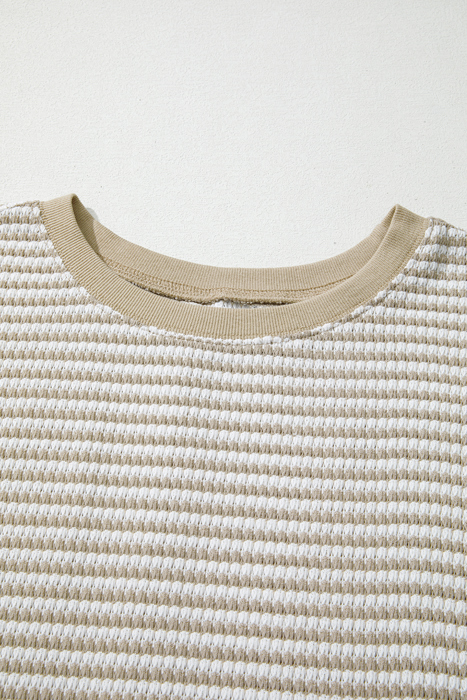 Vanessa Knit Ribbed Trim Long Sleeve PLUS Top