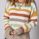 Multicolored Medium Vivian Stripe Crew Neck Sweater