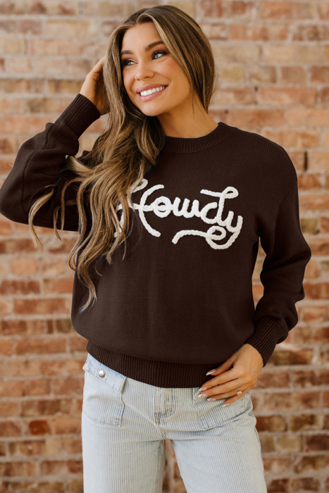 Wrenlee Embroidered Graphic Western Sweater