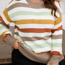  Wrenleigh Colorblock Drop Shoulder PLUS Sweater