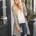 Brown Small Small Cheetah Print Joelle Cardigan