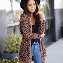 Brown Cheetah Medium Animal Print Snap Front Cleo Cardigan