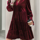 Small Red Smocked Sleeve Velvet Dress