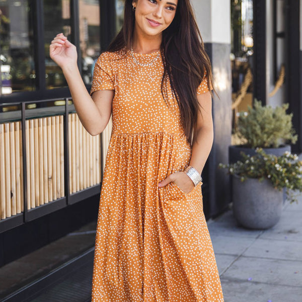 ワンピース ye__yama Apolina Jane Dress Organdie ye__yama 様専用Apolina Jane Dress Organdie - メルカリ