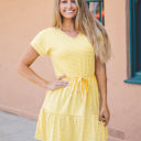 Large Yellow Tie Waist Skinny Stripe Sydney Dress