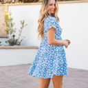 Large Daisy Blue Tiered Eleanora Swing Dress