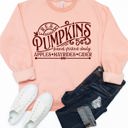 Large Peach Fresh Pumpkins Graphic Sweatshirt