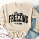  Literally Freezing Graphic Sweatshirt