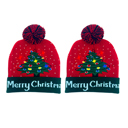 Tree 2-Pack: Colorful Warm LED Christmas Holiday Pom Pom Beanie Hat Winter Knit