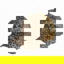  C.C® Sequin Leopard Baseball Cap by Truly Contagious