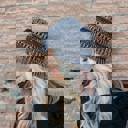  C.C® Beanie Cozy Metallic Cable Knit Skully Hats by Truly Contagious