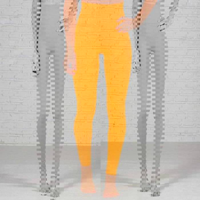 Tummy Control Fleece Lined Leggings Two Sizes Curvy Added