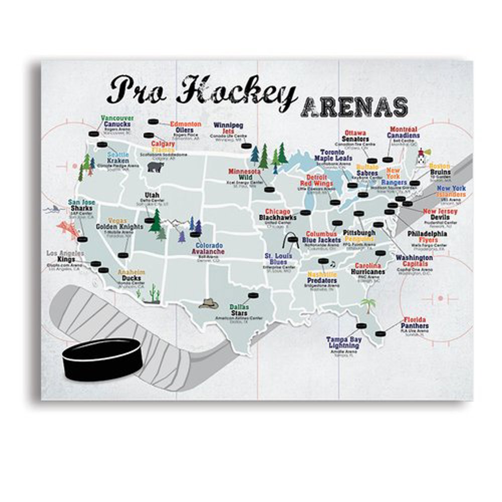 Pro Sports Stadium Maps with Travel Pins | 8x10, 11x14 OR 16x20 Canvas