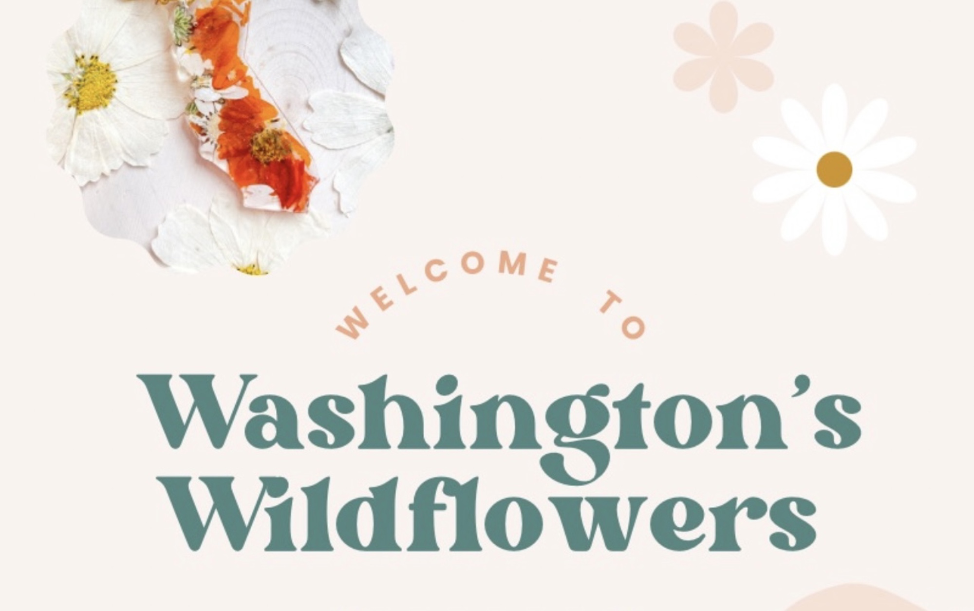 Washington’s Wildflowers 