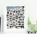 Charlotte Multi City Map Prints | 3 Colors