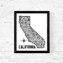 California White State Map Print | 3 Colors