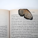  Magnetic Butterfly Bookmarks (Set of 3)