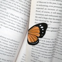  Magnetic Butterfly Bookmarks (Set of 3)