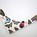  Winged Butterfly & Moth 5x7" Notepad