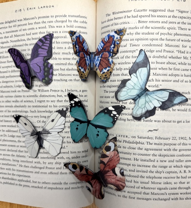 Magnetic Butterfly & Moth Bookmarks (Set of 3)