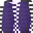 Small Purple Dibs On The Coach Sweatshirt
