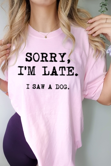I Saw A Dog Graphic Tee, Oversized Tee, Comfort Color Shirt