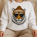  Cincinnati Team Sweatshirt, Mascot Sweatshirt