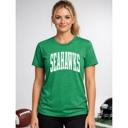  Seahawks Team Graphic Tee, Super Bowl Shirt, Football Team, Bella Canvas