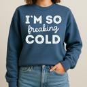  Freaking Cold Sweatshirt