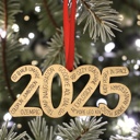  2025 Commemorative Ornament - Laser Engraved Wood Keepsake Ornament - Funny Sentimental Gift