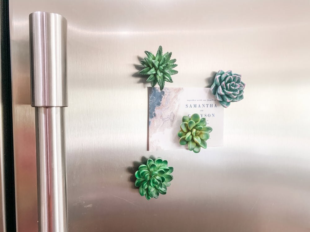 Mini 3D Succulent Resin Magnets (Set of 4)