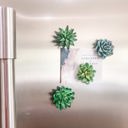  Mini 3D Succulent Resin Magnets (Set of 4)