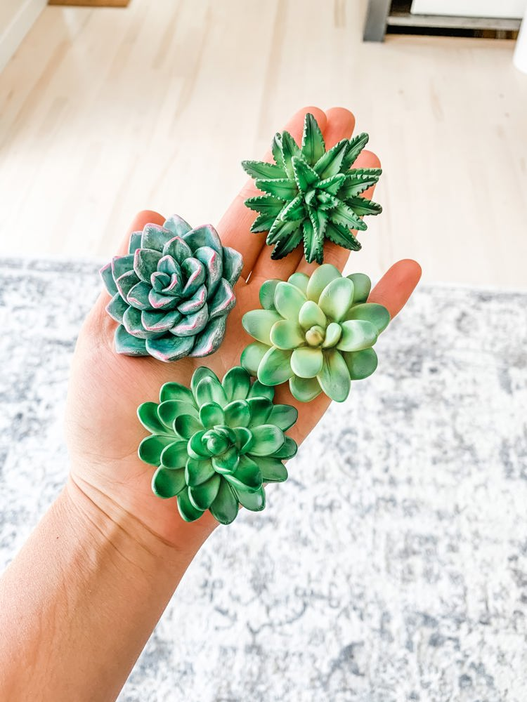 Mini 3D Succulent Resin Magnets (Set of 4)