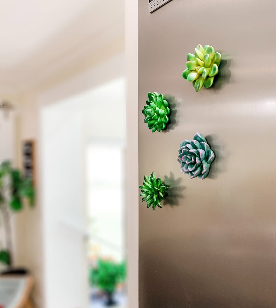 Mini 3D Succulent Resin Magnets (Set of 4)