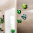  Mini 3D Succulent Resin Magnets (Set of 4)