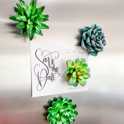 Mini 3D Succulent Resin Magnets (Set of 4)