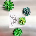  Mini 3D Succulent Resin Magnets (Set of 4)