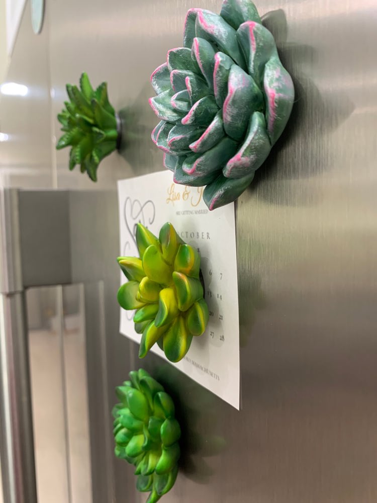 Mini 3D Succulent Resin Magnets (Set of 4)