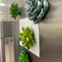  Mini 3D Succulent Resin Magnets (Set of 4)