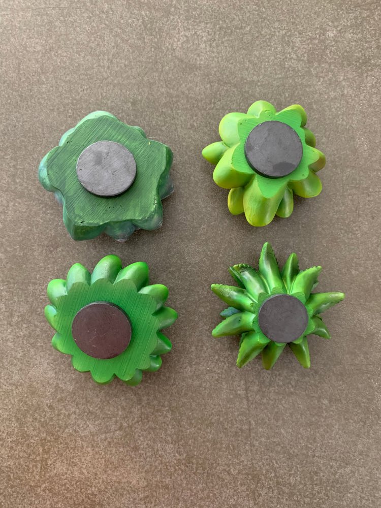 Mini 3D Succulent Resin Magnets (Set of 4)