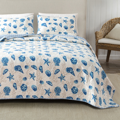 Coastal Seashells Quilt Set